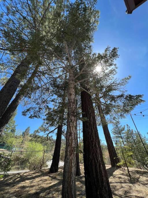 Summit: Discover Serenity In This Cozy Cabin With Mountain Views! Villa Big Bear Lake Exterior photo